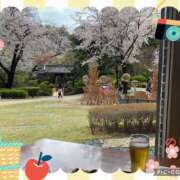 ヒメ日記 2025/04/06 10:00 投稿 のん 川崎・蒲田おかあさん