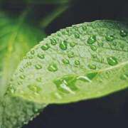 ヒメ日記 2025/04/23 11:30 投稿 のん 川崎・蒲田おかあさん