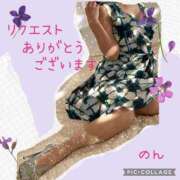 ヒメ日記 2025/04/23 23:50 投稿 のん 川崎・蒲田おかあさん