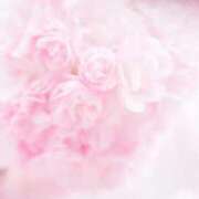 ヒメ日記 2025/04/29 09:30 投稿 のん 川崎・蒲田おかあさん