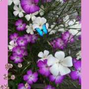 ヒメ日記 2025/05/29 23:50 投稿 のん 川崎・蒲田おかあさん