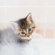 ヒメ日記 2025/07/09 09:20 投稿 のん 川崎・蒲田おかあさん