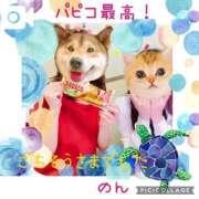 ヒメ日記 2025/07/19 18:00 投稿 のん 川崎・蒲田おかあさん