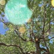 ヒメ日記 2025/07/20 09:50 投稿 のん 川崎・蒲田おかあさん