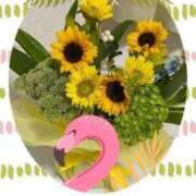 ヒメ日記 2025/08/01 12:50 投稿 のん 川崎・蒲田おかあさん