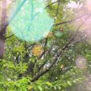 ヒメ日記 2025/08/12 09:40 投稿 のん 川崎・蒲田おかあさん