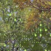 ヒメ日記 2025/08/31 09:20 投稿 のん 川崎・蒲田おかあさん