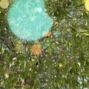 ヒメ日記 2025/09/25 09:20 投稿 のん 川崎・蒲田おかあさん