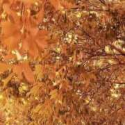 ヒメ日記 2025/10/15 16:00 投稿 のん 川崎・蒲田おかあさん