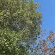 ヒメ日記 2025/11/03 09:40 投稿 のん 川崎・蒲田おかあさん