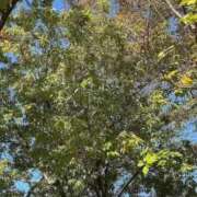 ヒメ日記 2025/11/07 09:30 投稿 のん 川崎・蒲田おかあさん