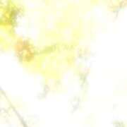 ヒメ日記 2025/11/12 09:54 投稿 のん 川崎・蒲田おかあさん