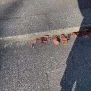 ヒメ日記 2025/12/01 09:40 投稿 のん 川崎・蒲田おかあさん