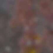 ヒメ日記 2025/12/03 09:30 投稿 のん 川崎・蒲田おかあさん