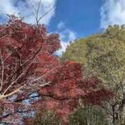 ヒメ日記 2025/12/06 09:50 投稿 のん 川崎・蒲田おかあさん