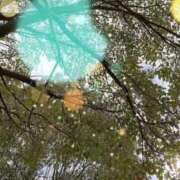 のん おはようございます✨ 川崎・蒲田おかあさん