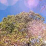 のん おはようございます✨ 川崎・蒲田おかあさん