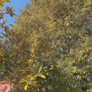 ヒメ日記 2026/01/17 09:20 投稿 のん 川崎・蒲田おかあさん