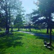 ヒメ日記 2025/05/13 16:50 投稿 はる 川崎・蒲田おかあさん