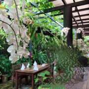 ヒメ日記 2025/05/14 13:20 投稿 はる 川崎・蒲田おかあさん