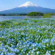 ヒメ日記 2025/05/20 09:00 投稿 はる 川崎・蒲田おかあさん