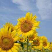 ヒメ日記 2025/07/15 13:40 投稿 はる 川崎・蒲田おかあさん