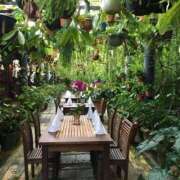 ヒメ日記 2025/07/17 19:20 投稿 はる 川崎・蒲田おかあさん