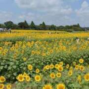 ヒメ日記 2025/07/18 10:40 投稿 はる 川崎・蒲田おかあさん