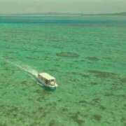 ヒメ日記 2025/08/30 15:20 投稿 はる 川崎・蒲田おかあさん