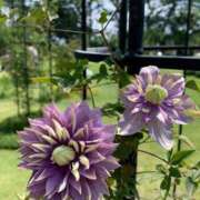 ヒメ日記 2025/10/03 10:50 投稿 はる 川崎・蒲田おかあさん