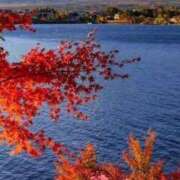 ヒメ日記 2025/10/03 18:20 投稿 はる 川崎・蒲田おかあさん