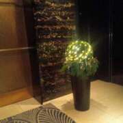 ヒメ日記 2025/11/16 15:30 投稿 はる 川崎・蒲田おかあさん