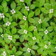 ヒメ日記 2025/11/16 22:50 投稿 はる 川崎・蒲田おかあさん