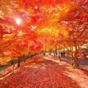 ヒメ日記 2025/11/19 11:50 投稿 はる 川崎・蒲田おかあさん