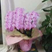 ヒメ日記 2025/12/08 15:20 投稿 はる 川崎・蒲田おかあさん