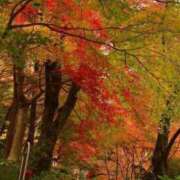 ヒメ日記 2025/12/13 15:40 投稿 はる 川崎・蒲田おかあさん