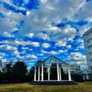 ヒメ日記 2026/01/06 11:30 投稿 はる 川崎・蒲田おかあさん