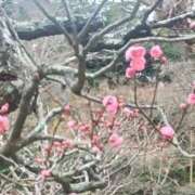 はる おはようございます☀ 川崎・蒲田おかあさん