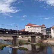 ヒメ日記 2025/07/23 11:30 投稿 ひなた 川崎・蒲田おかあさん