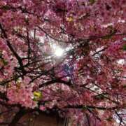 ヒメ日記 2025/07/29 12:50 投稿 ひなた 川崎・蒲田おかあさん