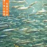 ヒメ日記 2025/07/30 11:50 投稿 ひなた 川崎・蒲田おかあさん