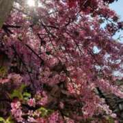 ヒメ日記 2025/07/31 12:20 投稿 ひなた 川崎・蒲田おかあさん