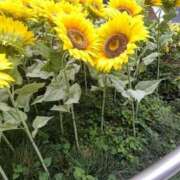 ヒメ日記 2025/08/05 18:24 投稿 ひなた 川崎・蒲田おかあさん