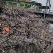ヒメ日記 2025/08/09 13:20 投稿 ひなた 川崎・蒲田おかあさん
