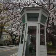 ヒメ日記 2025/08/12 15:27 投稿 ひなた 川崎・蒲田おかあさん