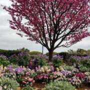 ヒメ日記 2025/08/13 15:30 投稿 ひなた 川崎・蒲田おかあさん