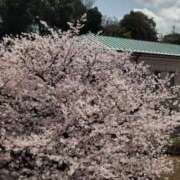 ヒメ日記 2025/08/15 14:20 投稿 ひなた 川崎・蒲田おかあさん