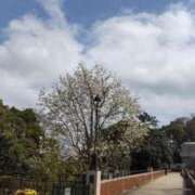 ヒメ日記 2025/08/17 17:20 投稿 ひなた 川崎・蒲田おかあさん