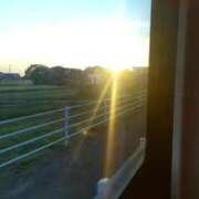 ヒメ日記 2025/09/07 19:20 投稿 ひなた 川崎・蒲田おかあさん