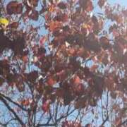 ひなた ご縁に感謝です！ 川崎・蒲田おかあさん